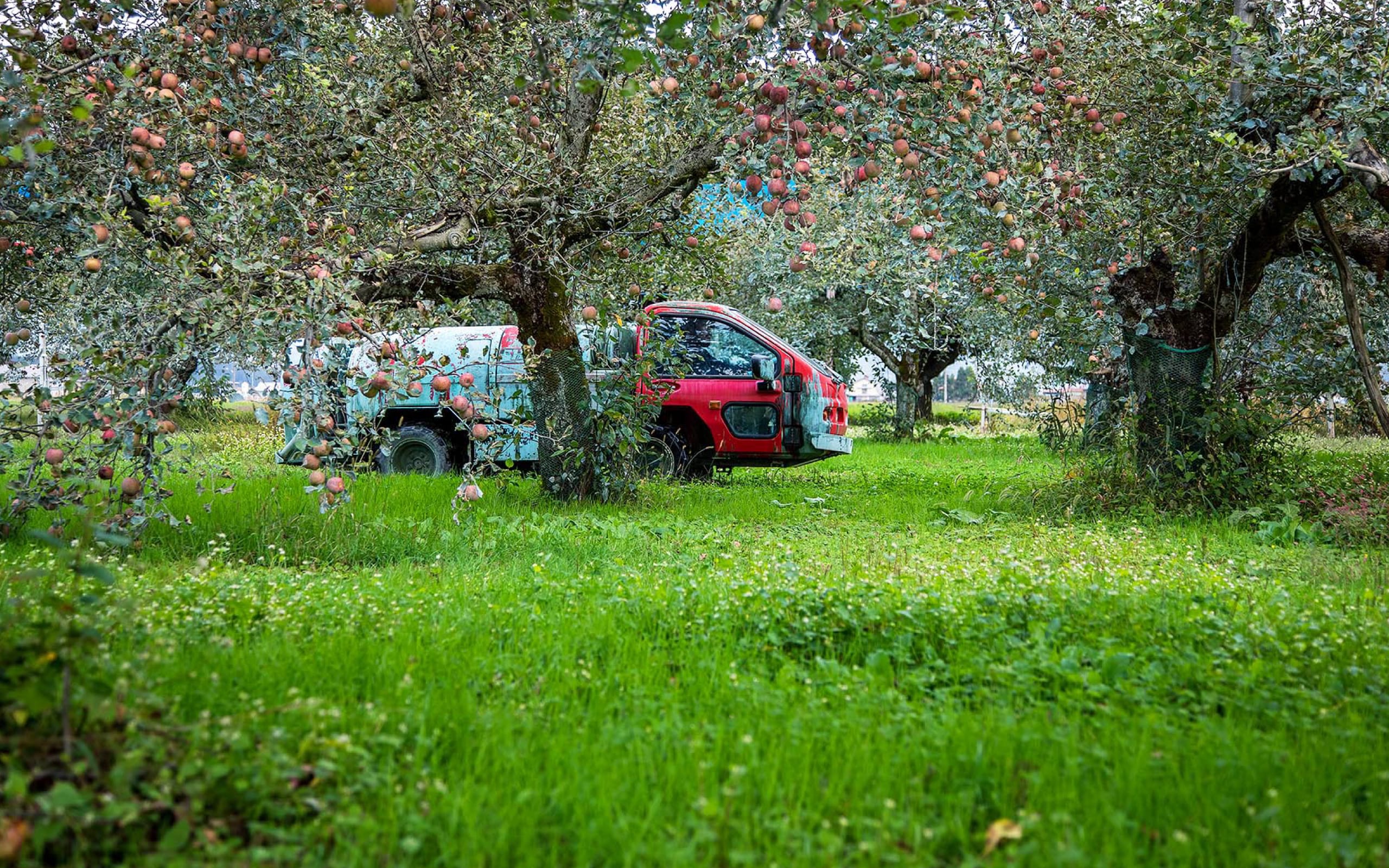 有機農作物認証