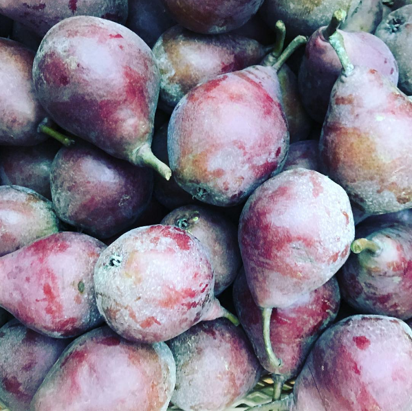 スタークリムソンペアー　りんごり