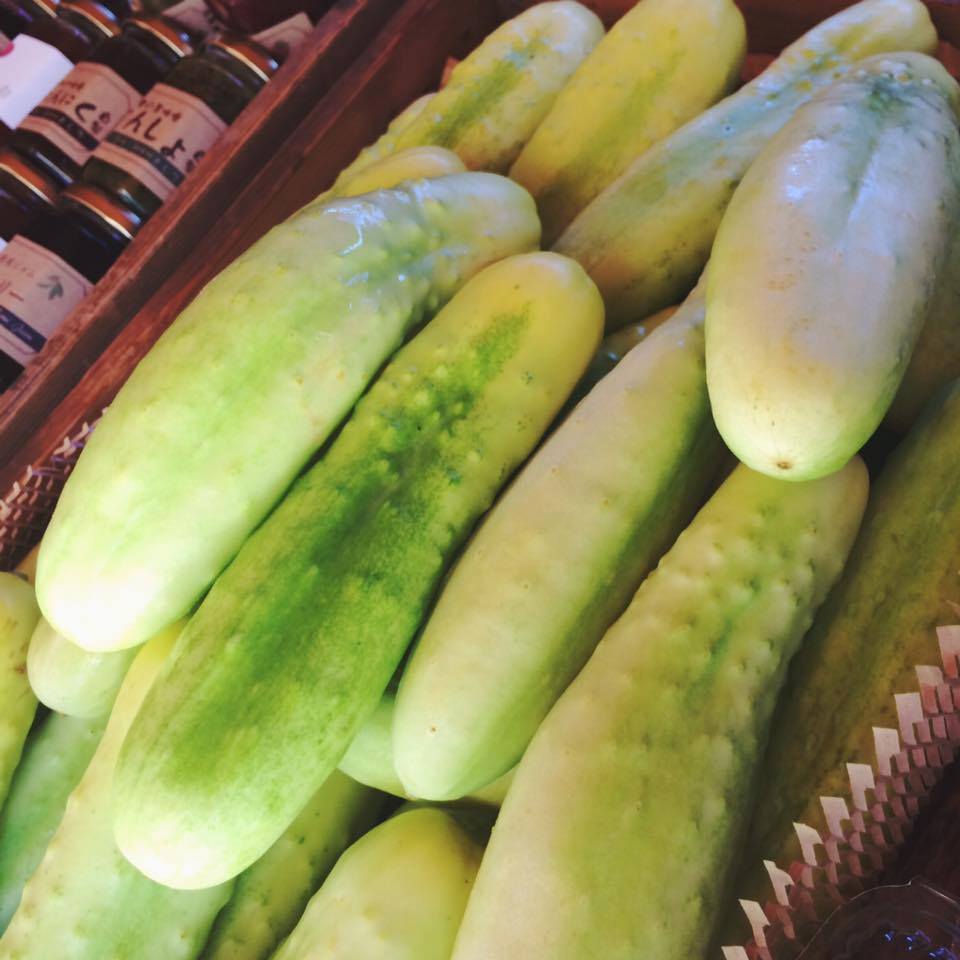 勘次郎きゅうり