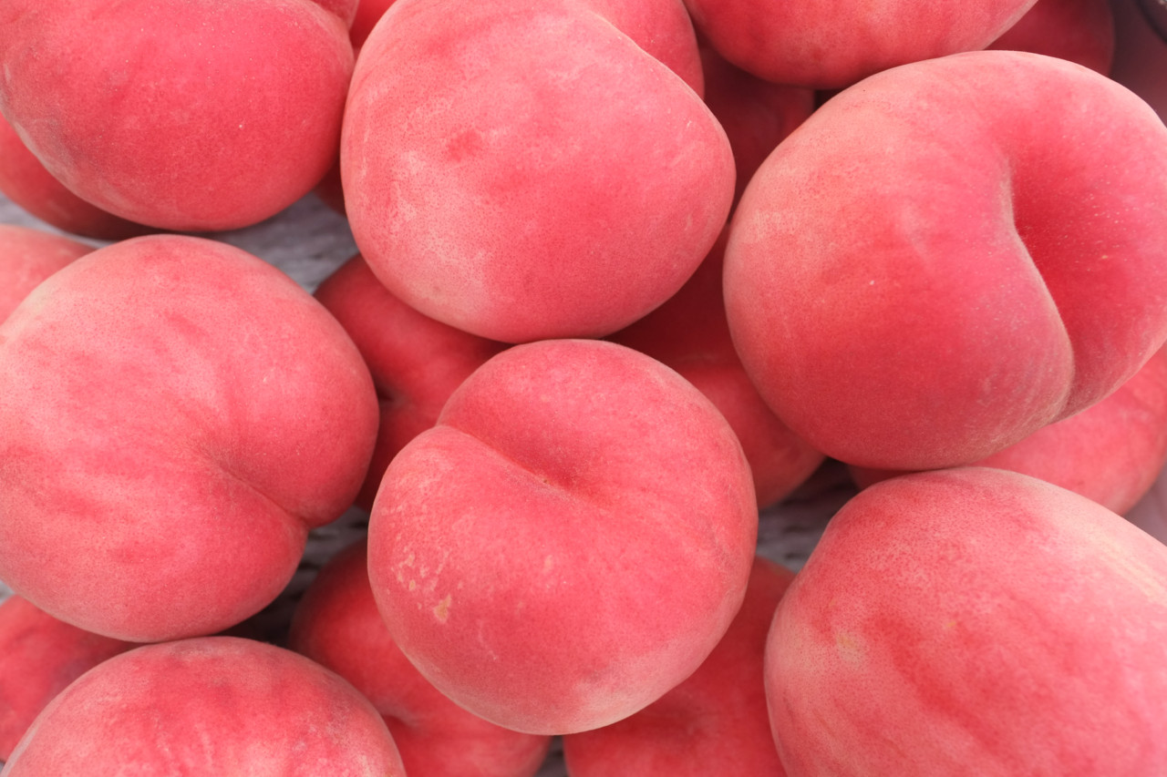 桃　秋田　細川農園