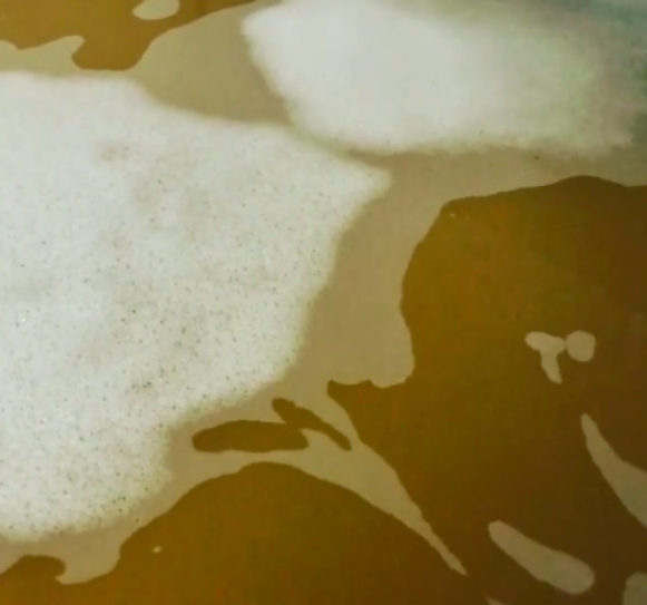 シードル　発酵