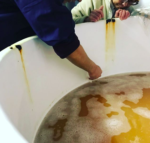 シードル　タケダ