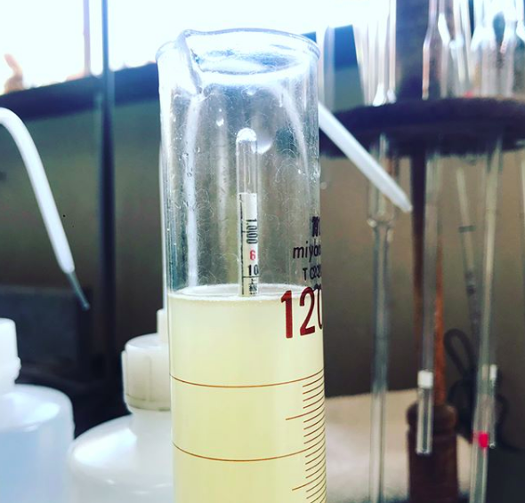 シードル　温度