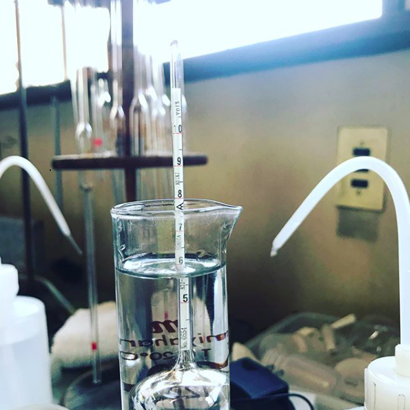 シードル　山形