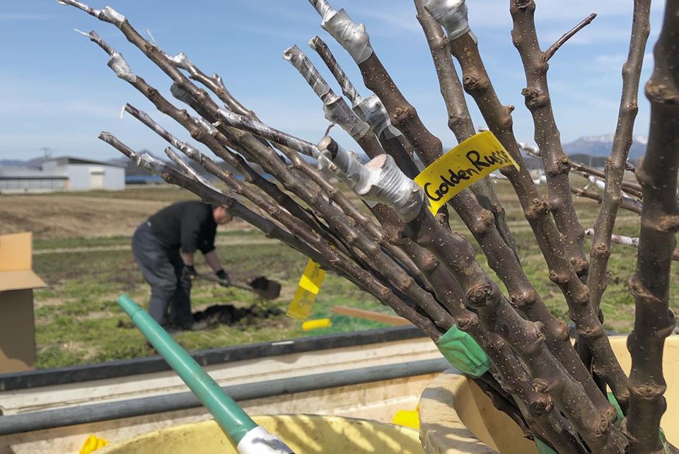 無農薬　ジュース