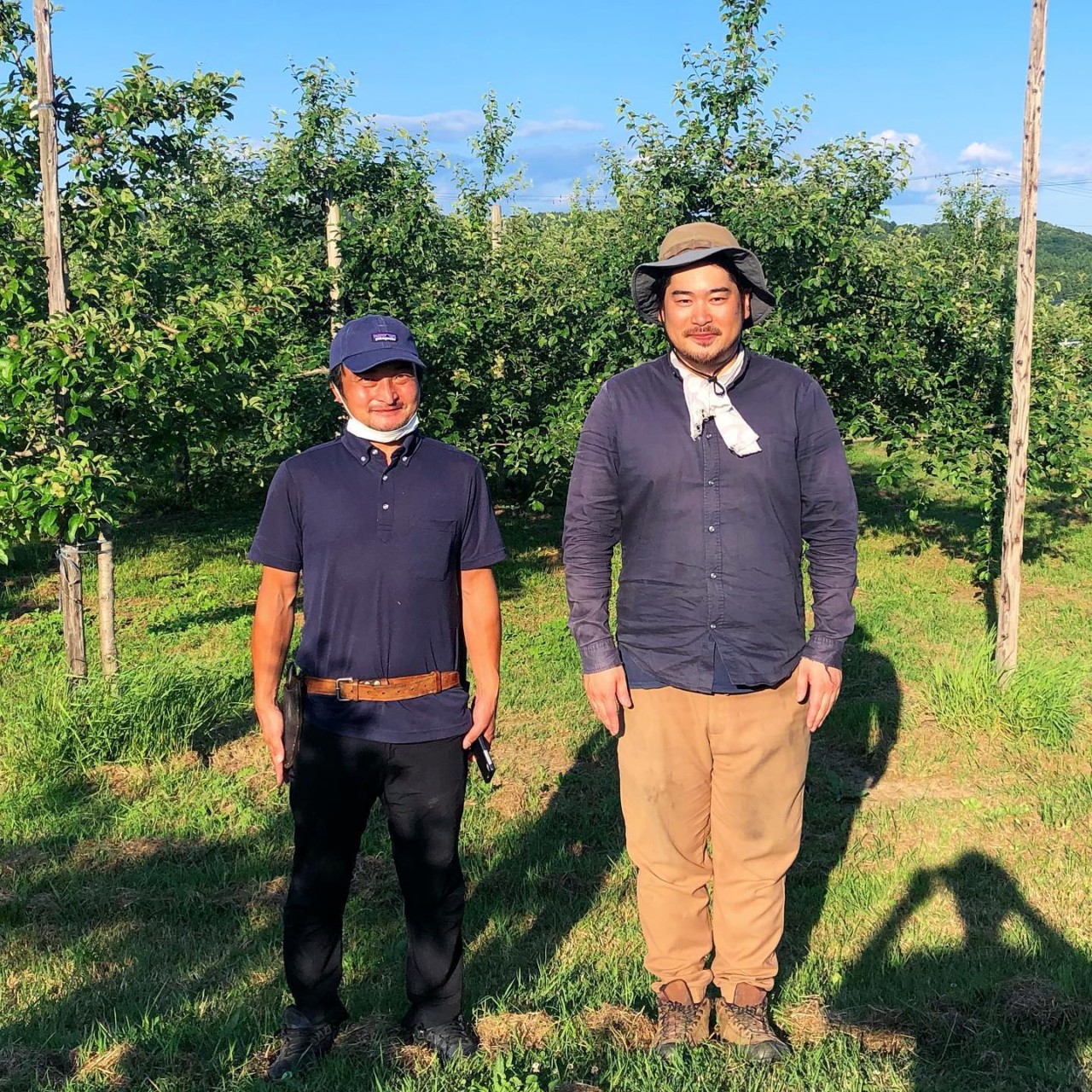 りんご　無農薬　山形