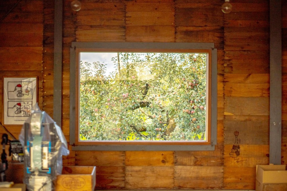 シンボルツリー