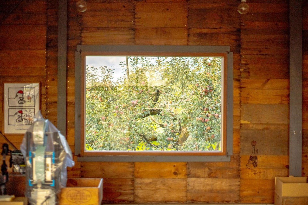 シンボルツリー