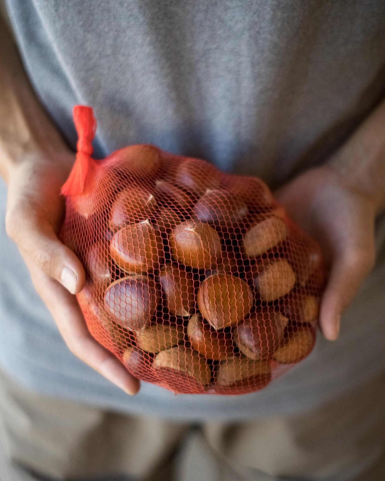 甘い　栗　無農薬