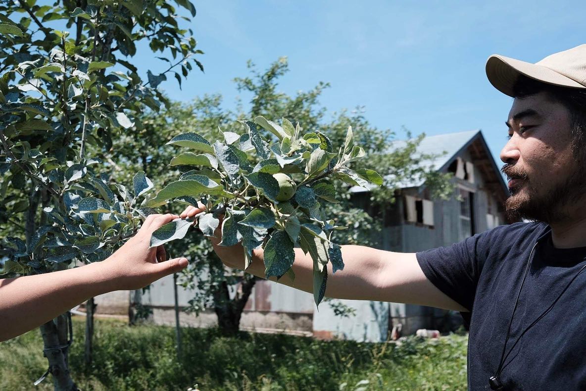 有機　ジュース　