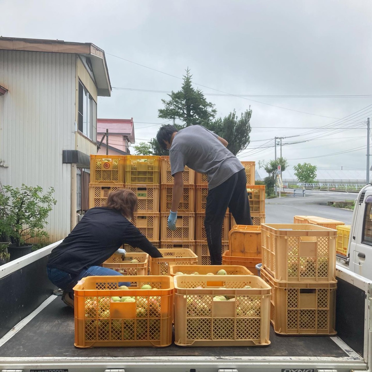 さんさ　ジュース