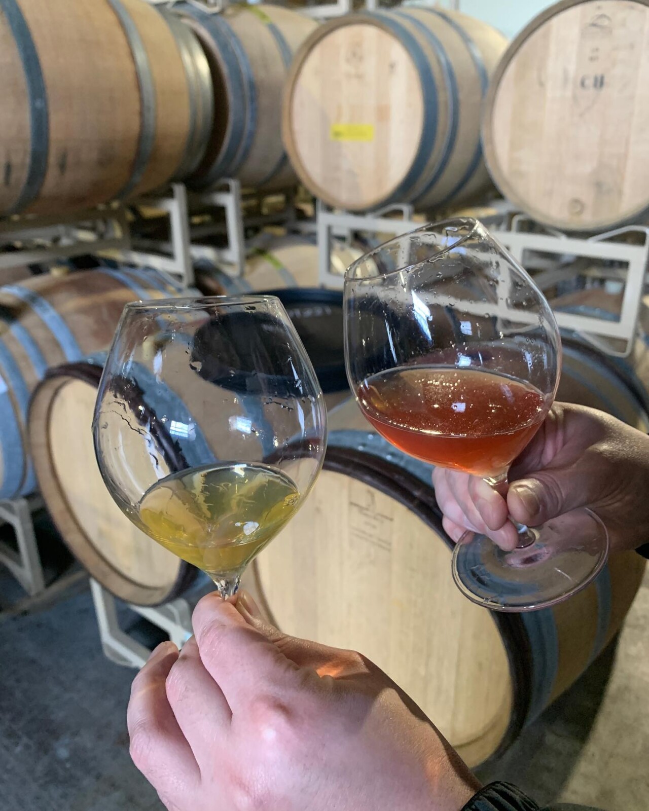 シードル　オーガニック