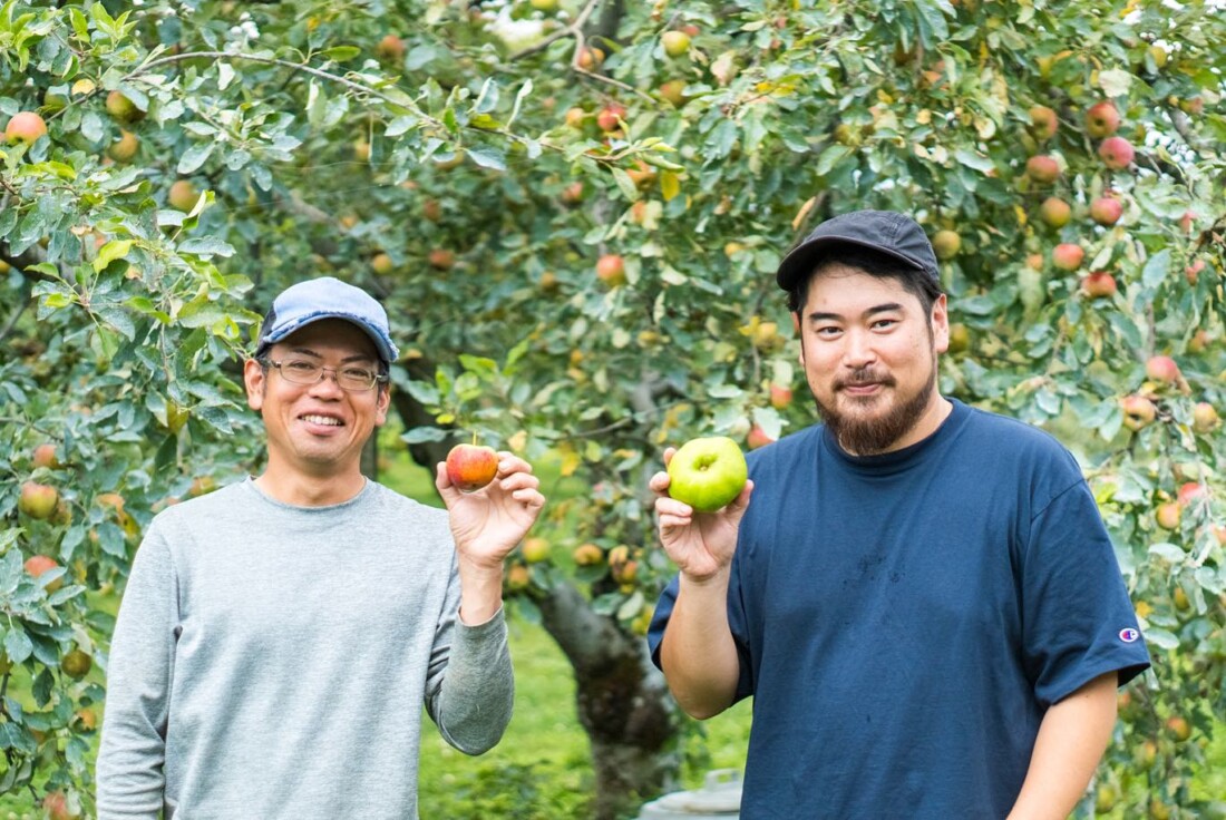 オーガニックリンゴ　山形